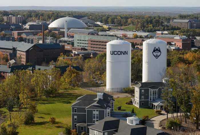 Which Problems May You Face During The Access To Uconn HuskyCT Login