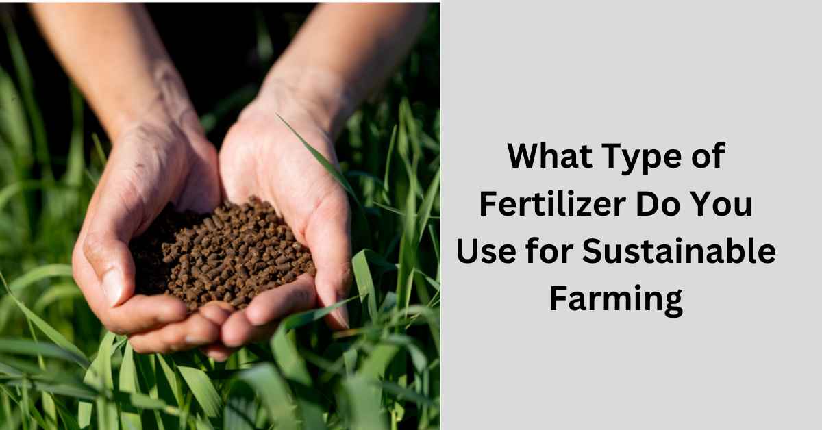 What Type of Fertilizer Do You Use for Sustainable Farming