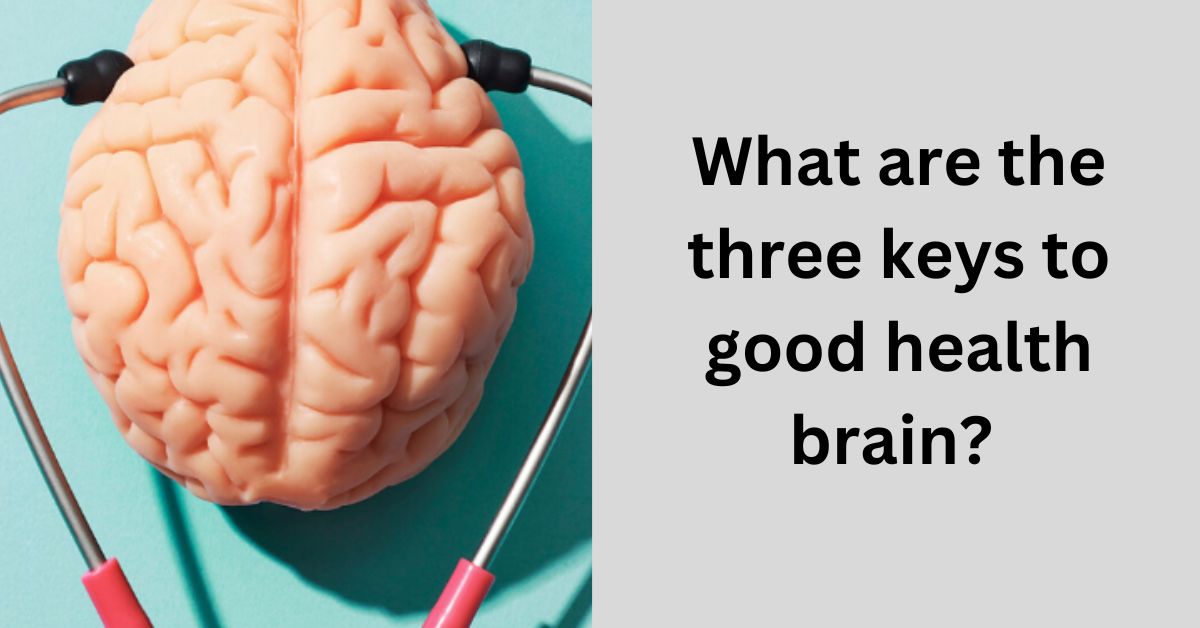 What are the three keys to good health brain?