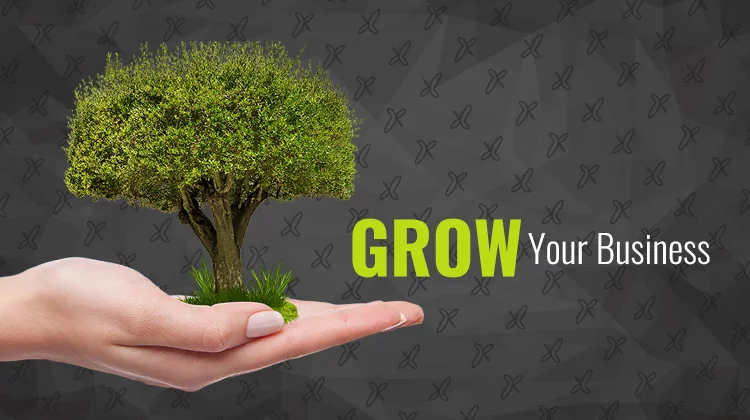 Growing with Your Business