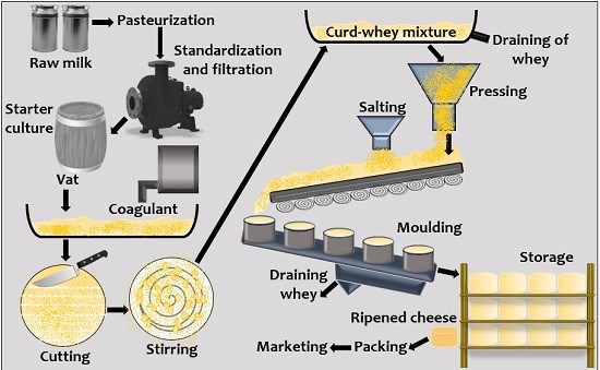 cheese making process