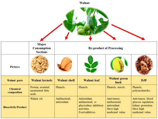 medical use of walnut leaves