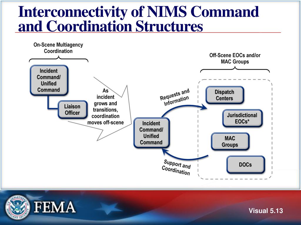 Which Nims Structure Makes Cooperative Multi?