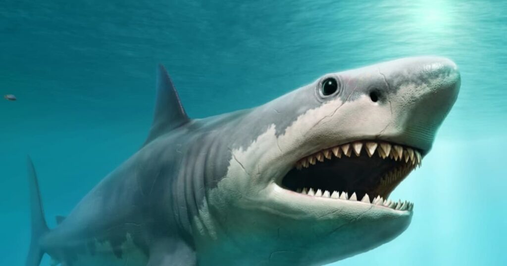 Is Megalodon still ruling the oceans?