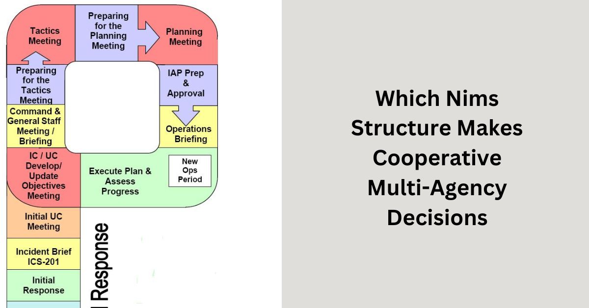 Which Nims Structure Makes Cooperative Multi-Agency Decisions